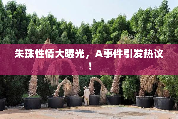 朱珠性情大曝光，A事件引发热议！