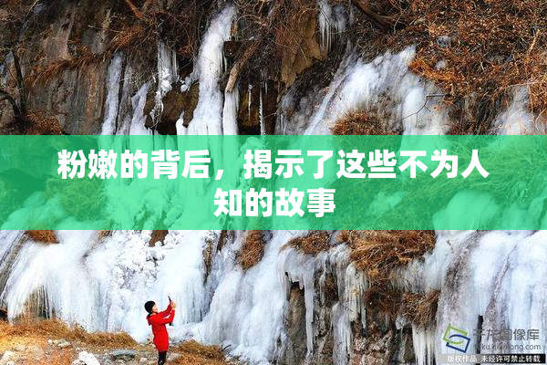 粉嫩的背后，揭示了这些不为人知的故事