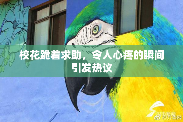校花跪着求助，令人心疼的瞬间引发热议
