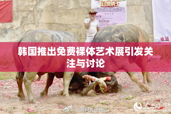 韩国推出免费裸体艺术展引发关注与讨论