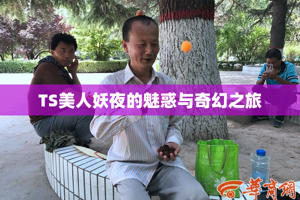 TS美人妖夜的魅惑与奇幻之旅