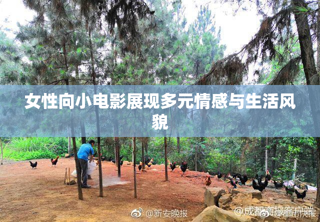 女性向小电影展现多元情感与生活风貌