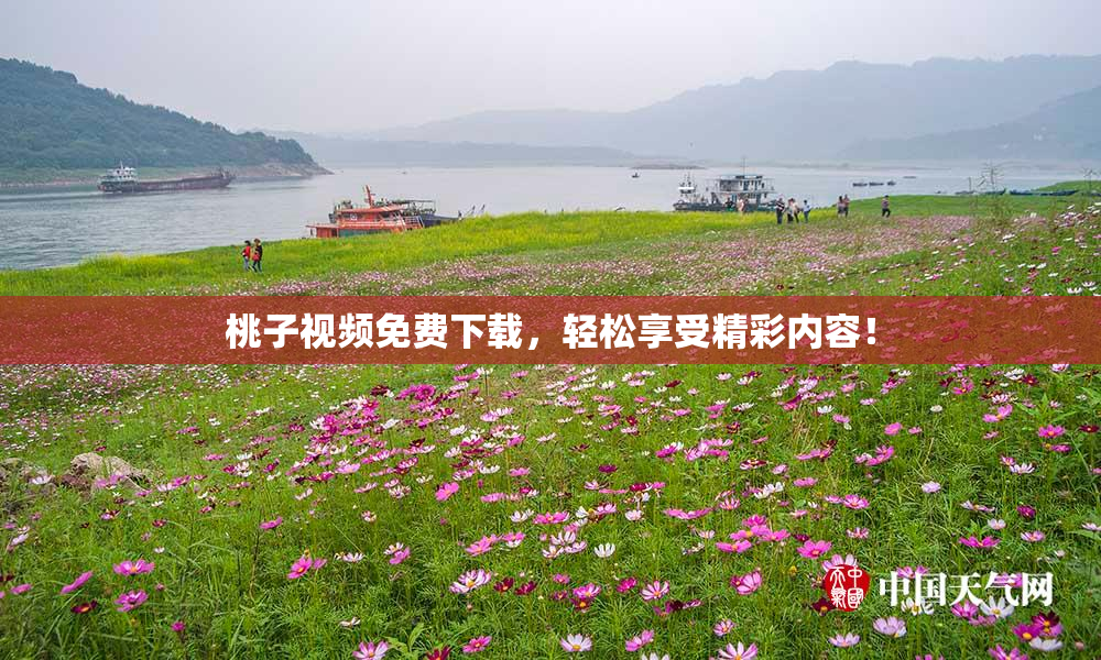 桃子视频免费下载，轻松享受精彩内容！