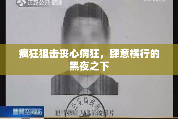 疯狂狙击丧心病狂，肆意横行的黑夜之下