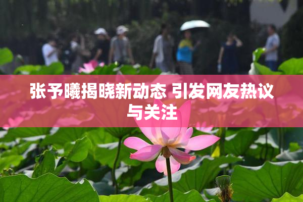 张予曦揭晓新动态 引发网友热议与关注