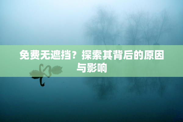 免费无遮挡？探索其背后的原因与影响