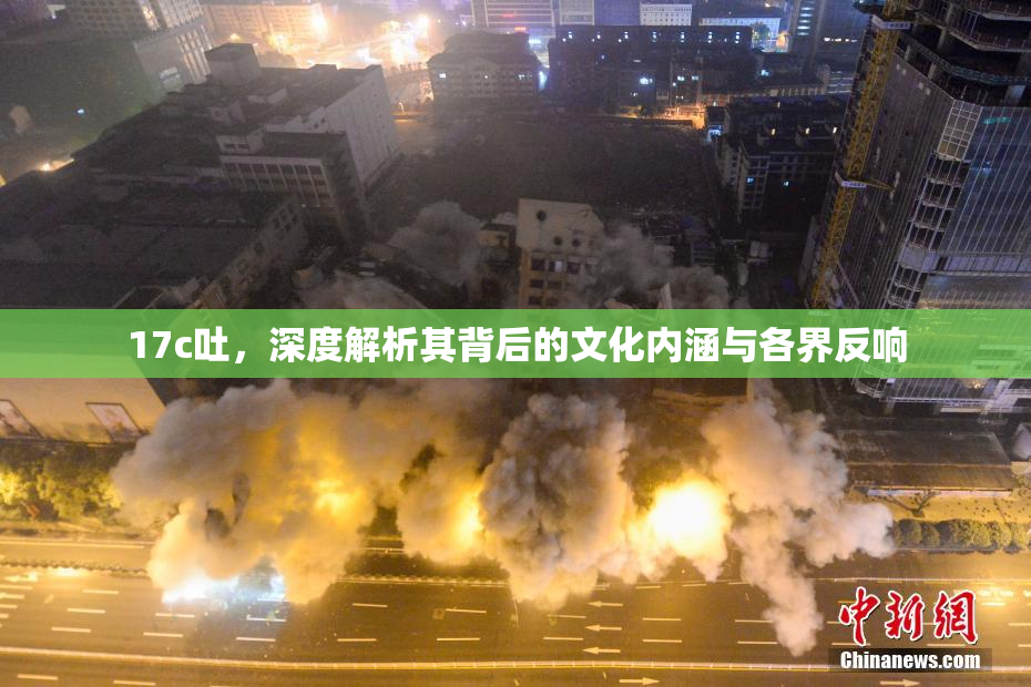 17c吐，深度解析其背后的文化内涵与各界反响