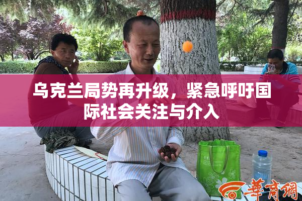 乌克兰局势再升级，紧急呼吁国际社会关注与介入