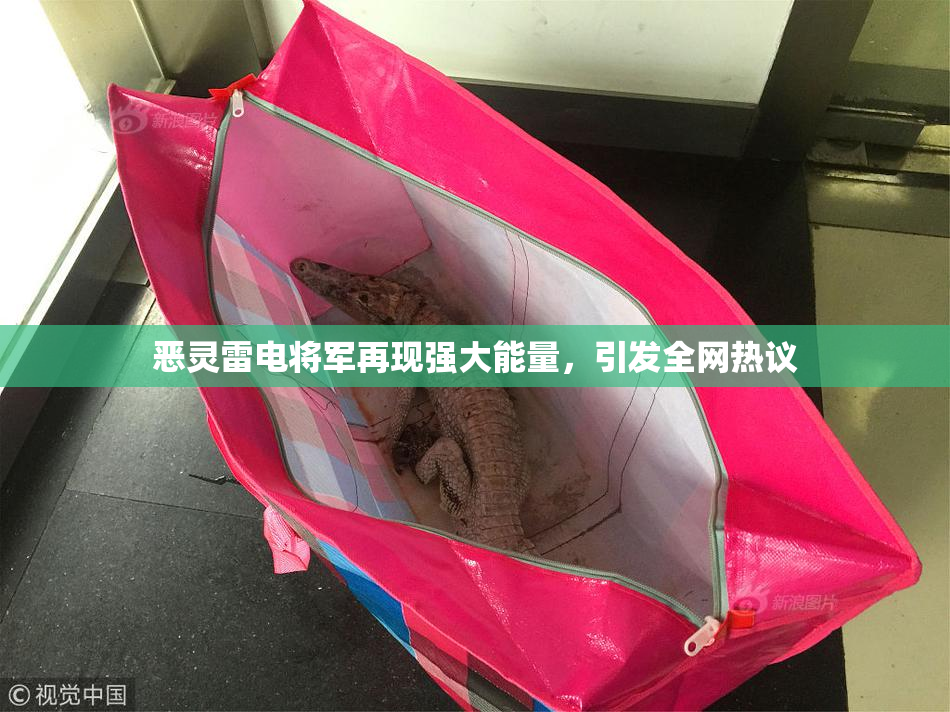 恶灵雷电将军再现强大能量，引发全网热议