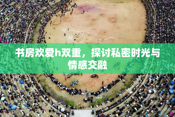 书房欢爱h双重，探讨私密时光与情感交融