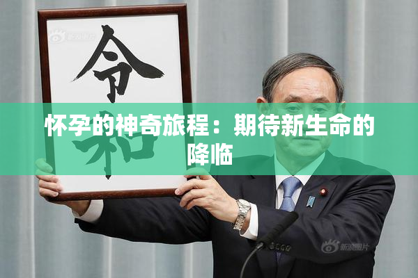 怀孕的神奇旅程：期待新生命的降临