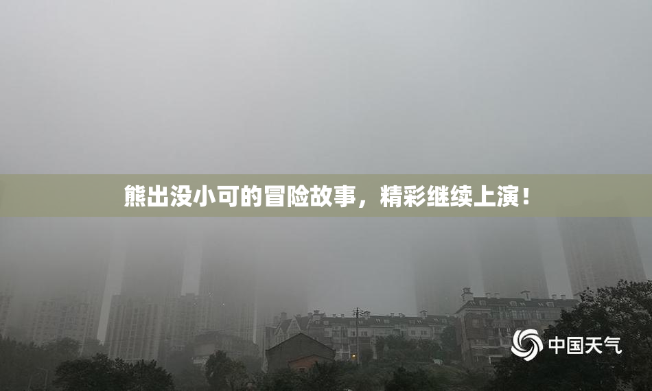 熊出没小可的冒险故事，精彩继续上演！