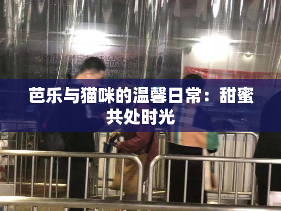 芭乐与猫咪的温馨日常：甜蜜共处时光