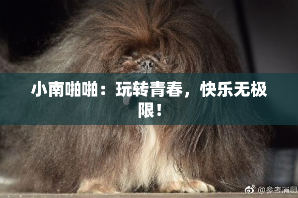 小南啪啪：玩转青春，快乐无极限！