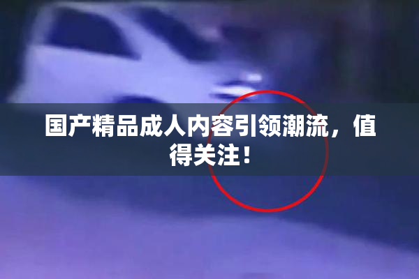 国产精品成人内容引领潮流，值得关注！