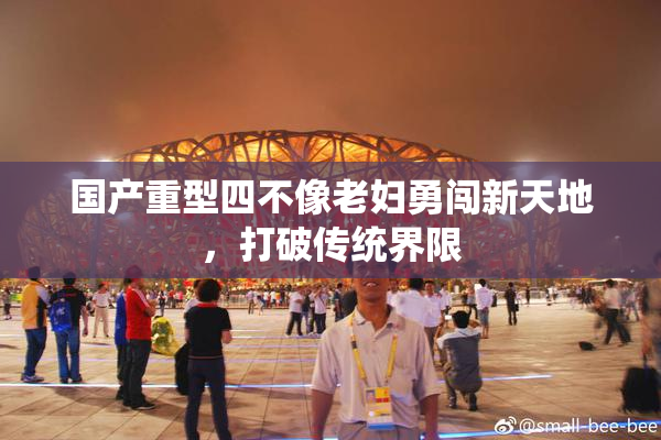 国产重型四不像老妇勇闯新天地，打破传统界限