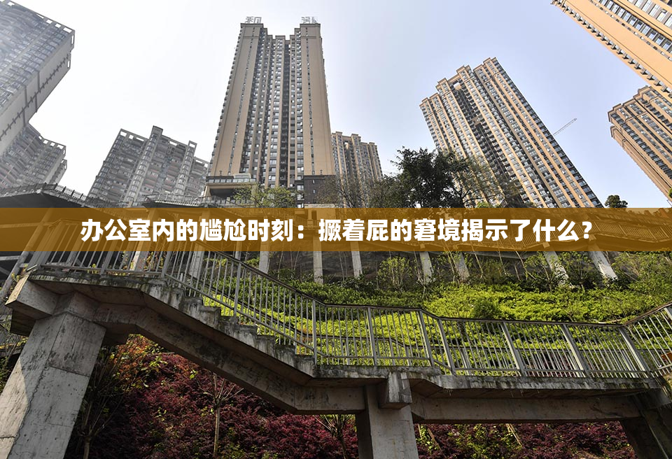 办公室内的尴尬时刻：撅着屁的窘境揭示了什么？