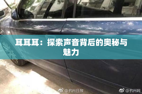 耳耳耳：探索声音背后的奥秘与魅力
