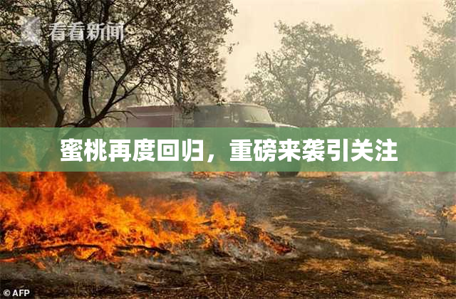 蜜桃再度回归，重磅来袭引关注