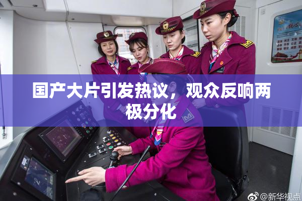 国产大片引发热议，观众反响两极分化