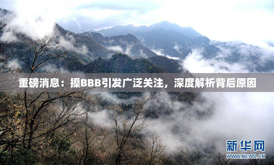 重磅消息：搡BBB引发广泛关注，深度解析背后原因