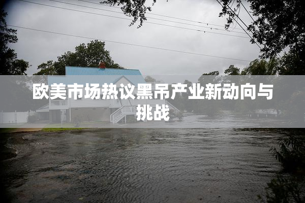 欧美市场热议黑吊产业新动向与挑战