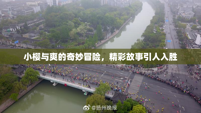 小樱与爽的奇妙冒险，精彩故事引人入胜