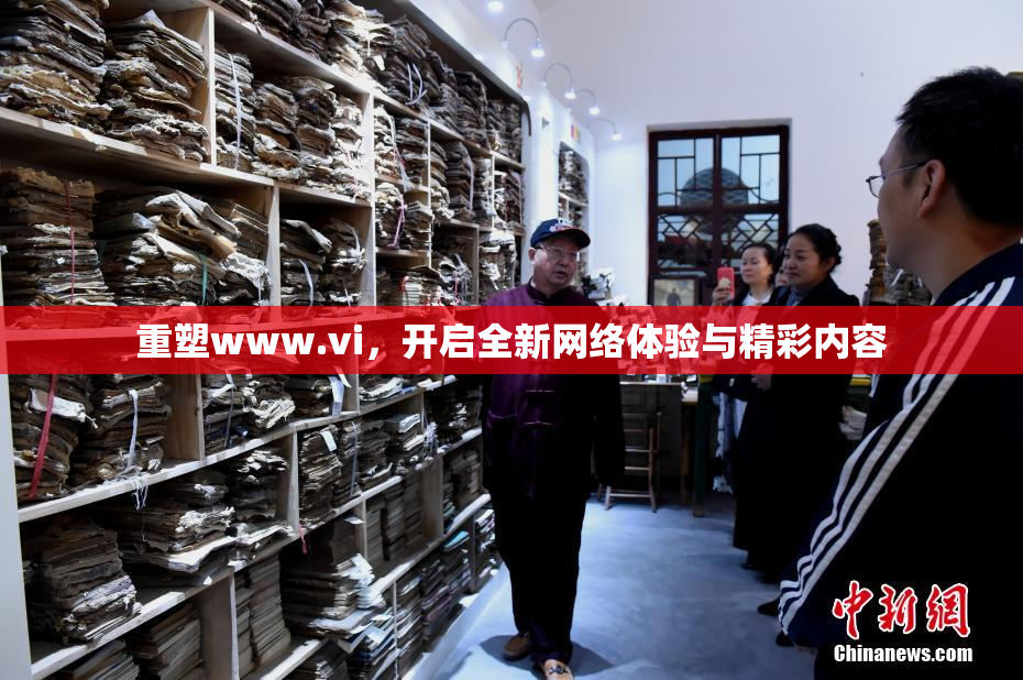 重塑www.vi，开启全新网络体验与精彩内容
