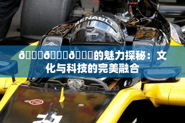 🍆🍑🔞的魅力探秘：文化与科技的完美融合