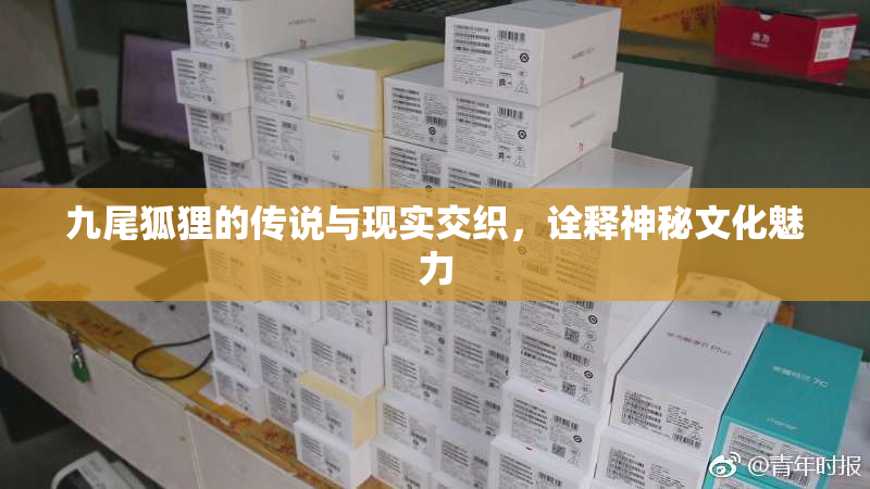 九尾狐狸的传说与现实交织，诠释神秘文化魅力