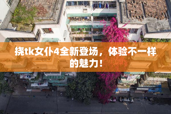 挠tk女仆4全新登场，体验不一样的魅力！
