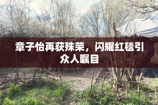 章子怡再获殊荣，闪耀红毯引众人瞩目