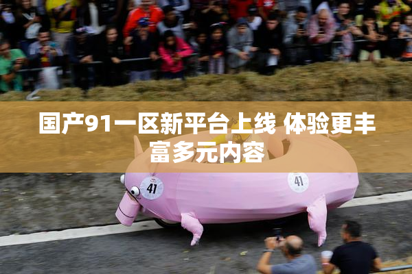 国产91一区新平台上线 体验更丰富多元内容