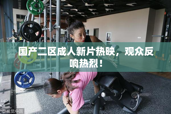 国产二区成人新片热映，观众反响热烈！