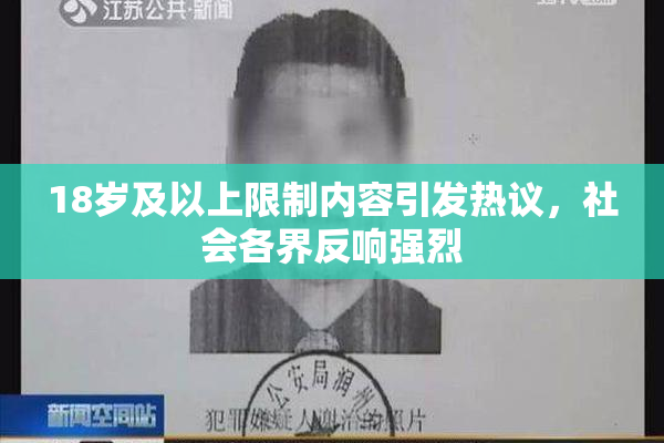 18岁及以上限制内容引发热议，社会各界反响强烈