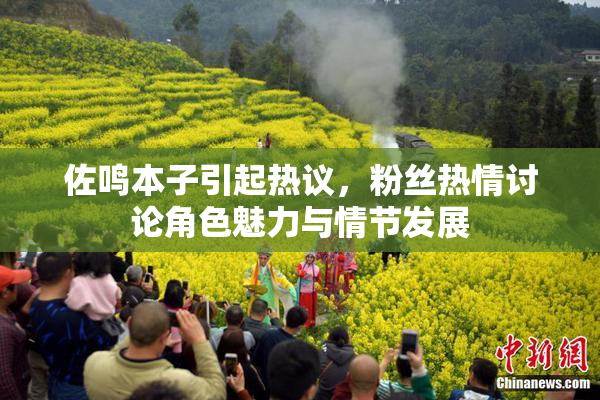 佐鸣本子引起热议，粉丝热情讨论角色魅力与情节发展