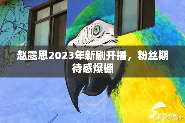赵露思2023年新剧开播，粉丝期待感爆棚