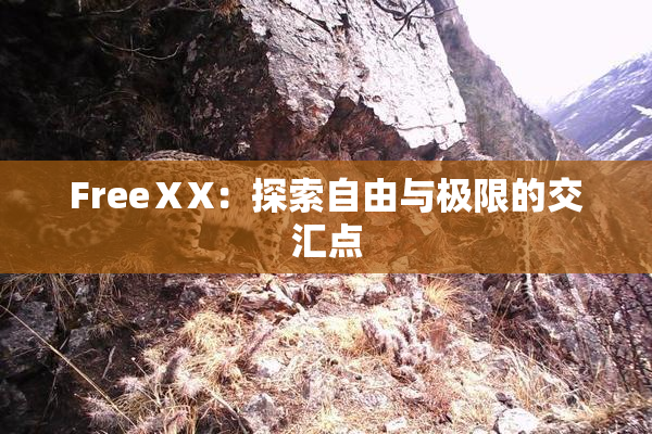 FreeⅩX：探索自由与极限的交汇点