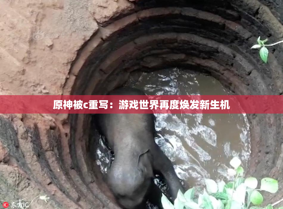 原神被c重写：游戏世界再度焕发新生机