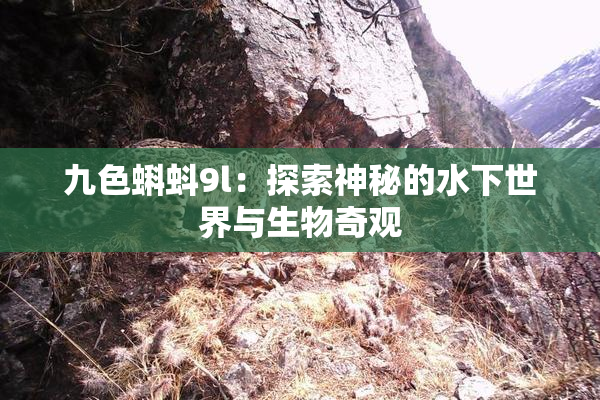 九色蝌蚪9l：探索神秘的水下世界与生物奇观