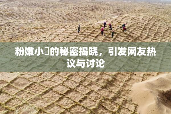 粉嫩小泬的秘密揭晓，引发网友热议与讨论