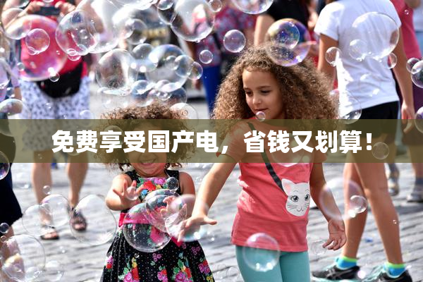 免费享受国产电，省钱又划算！