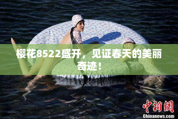 樱花8522盛开，见证春天的美丽奇迹！
