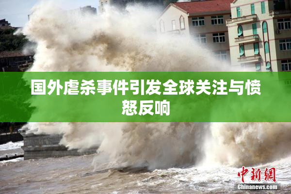 国外虐杀事件引发全球关注与愤怒反响