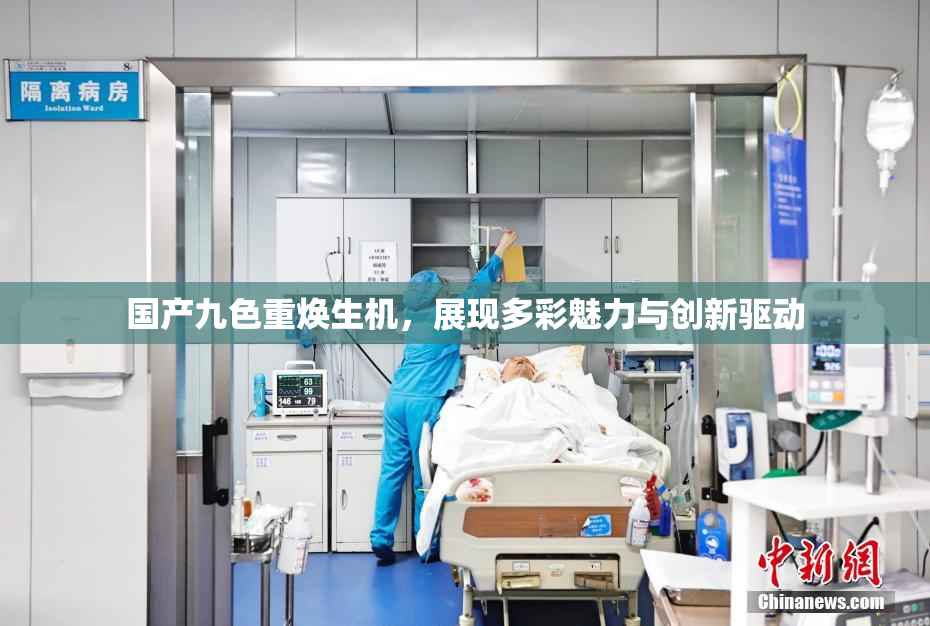 国产九色重焕生机，展现多彩魅力与创新驱动