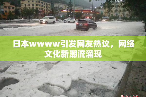 日本wwww引发网友热议，网络文化新潮流涌现