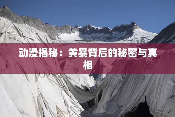 动漫揭秘：黄暴背后的秘密与真相