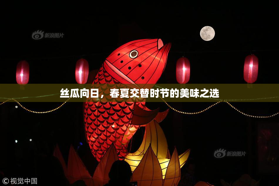 丝瓜向日，春夏交替时节的美味之选