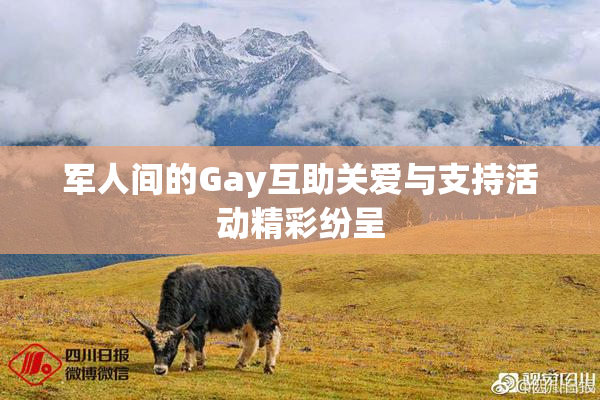 军人间的Gay互助关爱与支持活动精彩纷呈