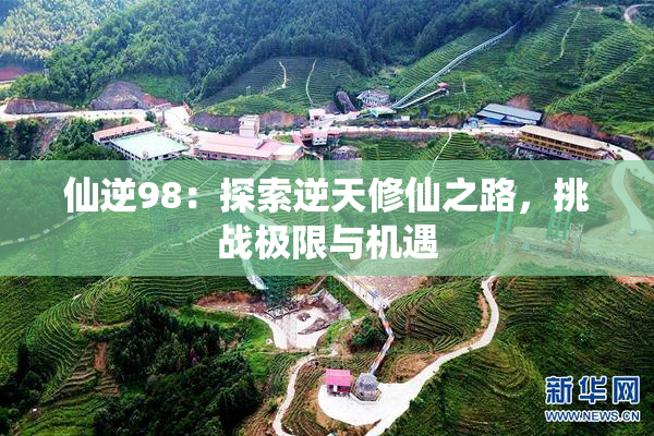 仙逆98：探索逆天修仙之路，挑战极限与机遇